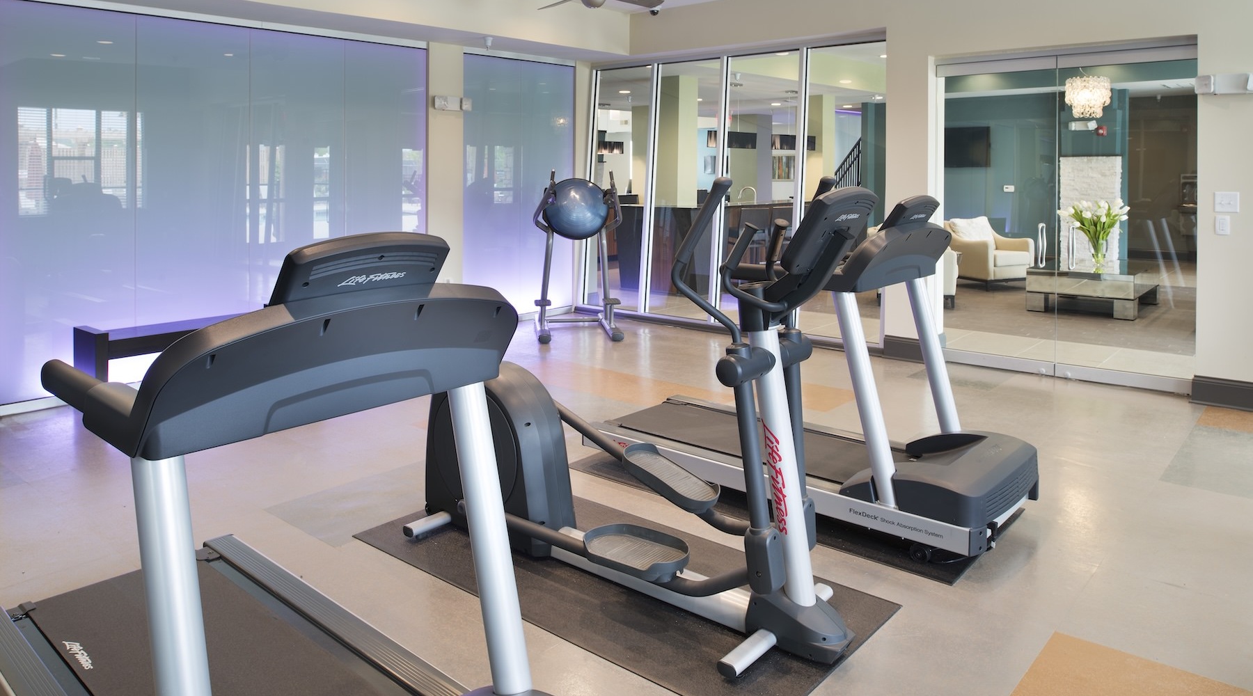 Get your workout on a gym with exercise equipment